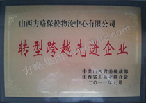 转型跨越先进集体