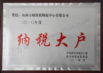 2010年度纳税大户