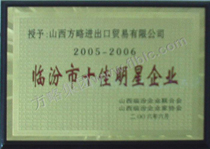05-06临汾市十佳明星企业
